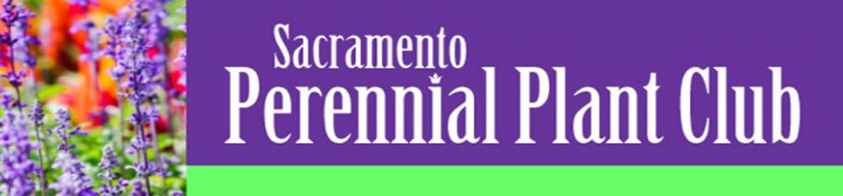sacramentoperennialplantclub