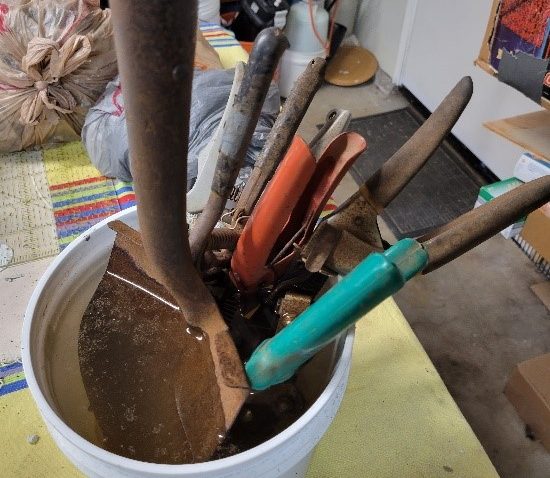 Rusty garden tools soaking in 50-50 vinegar-water solution