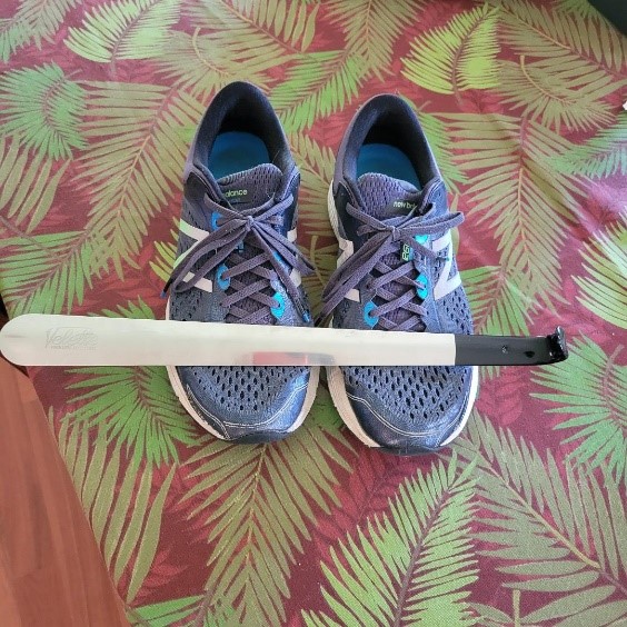 Long-handled shoehorn atop a pair of sneakers