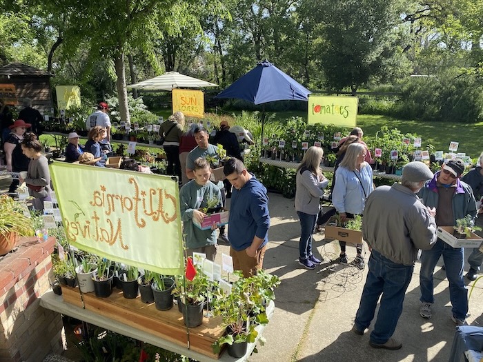 Shoppers at plant sale