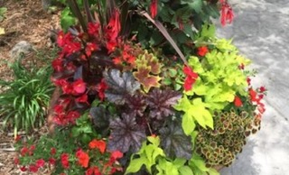 March General Meeting