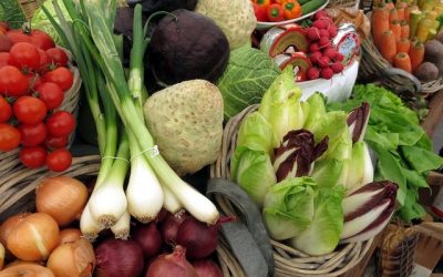 Members’ Salad Potluck—2026