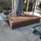 A box surrounding a large tree.