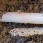 A white pipe in the dirt.
